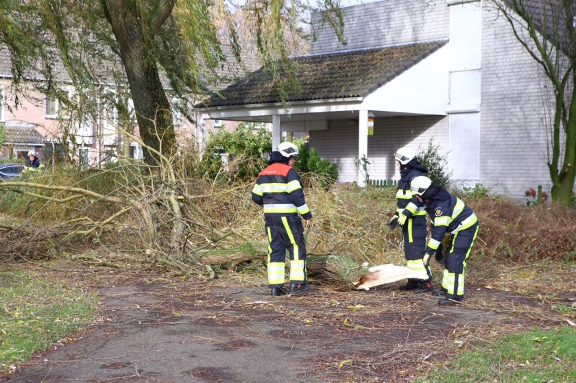 (Foto: Persburo Sander van Gils)