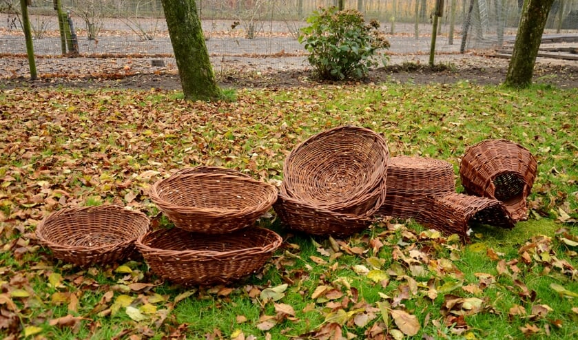 (Foto: Cock Stam)