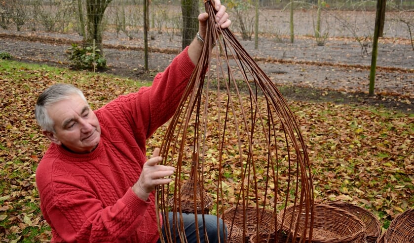 (Foto: Cock Stam)
