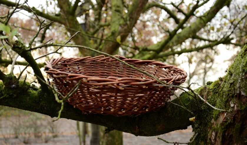 (Foto: Cock Stam)
