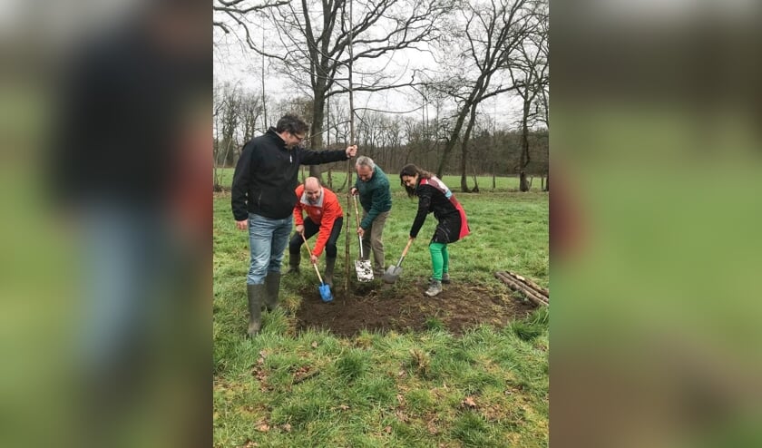 Boudewijn Tooren (l.) van de Herenboeren, wethouder Herman van Wanrooij (m.) en gedeputeerde Anne-Marie Spierings, bezig de aanplant van een boom. | Fotonummer: 974195