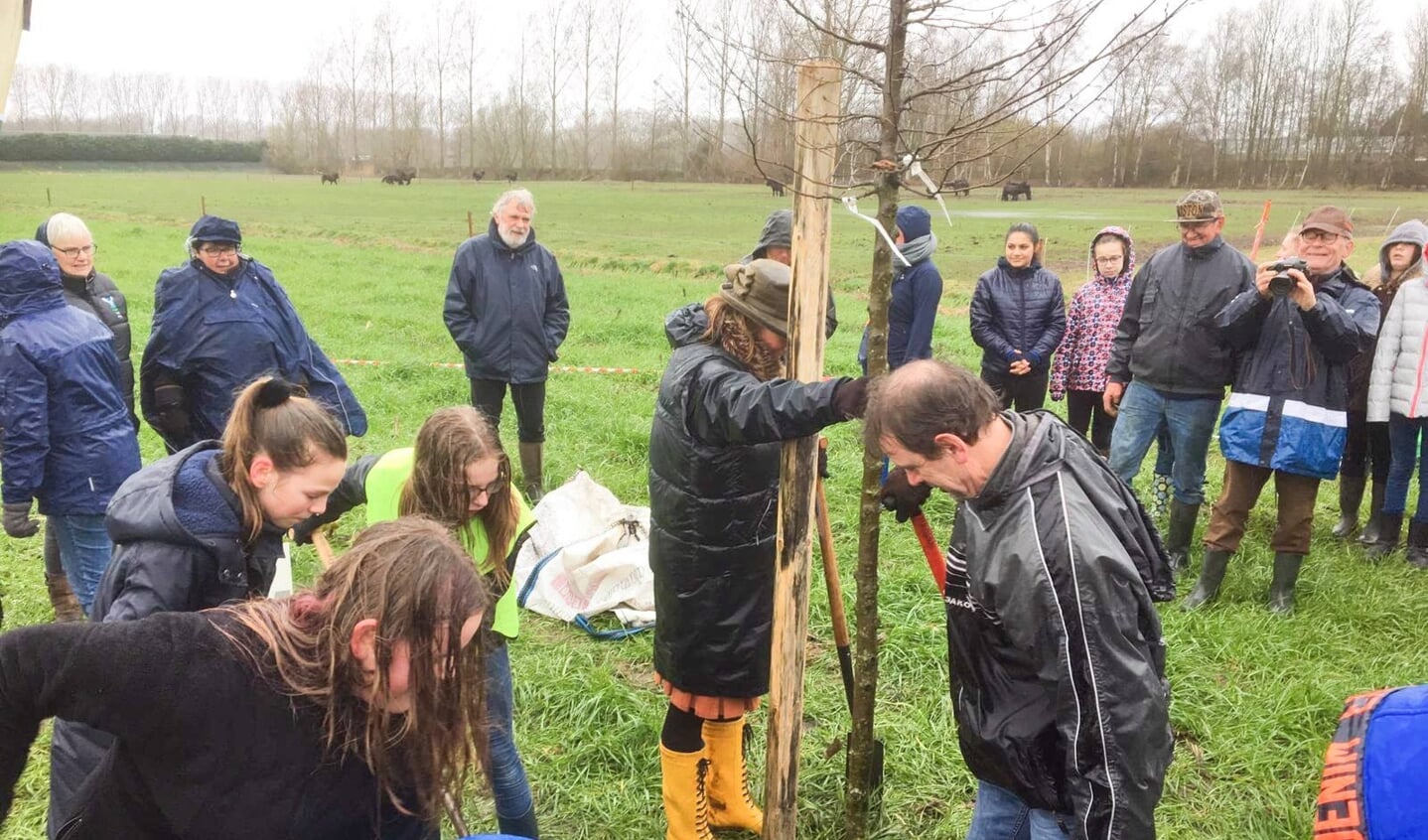 Wethouder Peter van de Wiel helpt een leerling van De Oversteek een boom te planten. (Foto: Gemeente Boxtel)