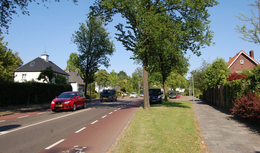 Het geplande onderhoud aan de Vic. van Alphenlaan is tot volgend jaar uitgesteld. | Fotonummer: dd990a