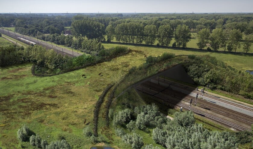 Een impressie van de natuurbrug, zoals die er uiteindelijk bij moet komen liggen. (Foto: ProRail) | Fotonummer: 0d103b
