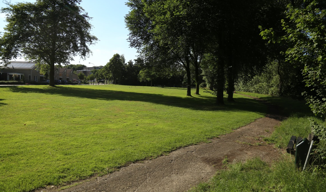 Op het terrein ligt nu een grasmat, maar de biodiversiteit kan verbeterd worden. (Foto: Sander van Kasteren)