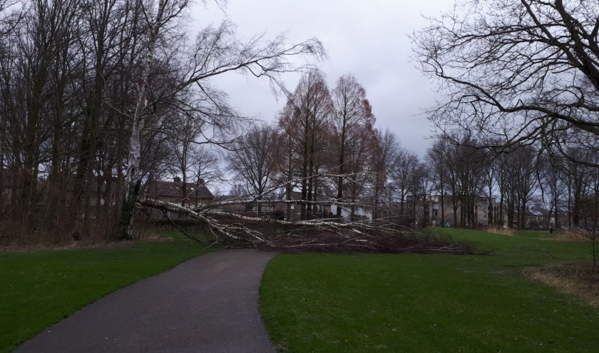 Zo erg als in 2018, toen omgeknakte bomen verschillende wegen versperden werd het afgelopen zondag niet. | Fotonummer: cf663e
