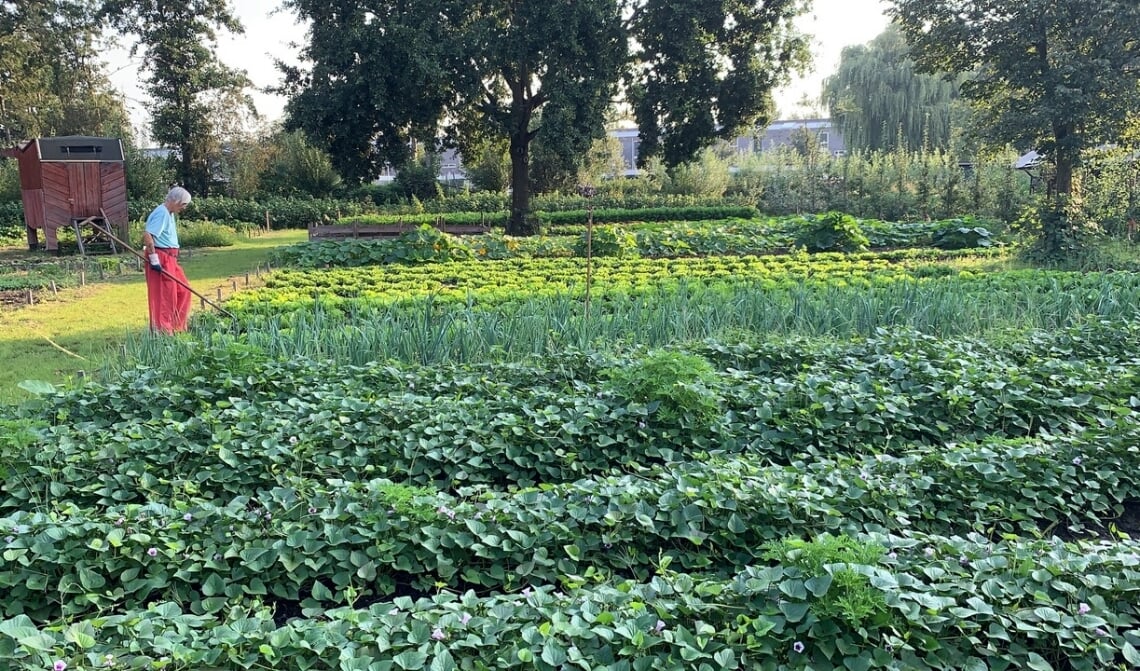 De kern van het vernieuwde elan voor De Kleine Aarde is het succes van de formule van de Voedseltuin.