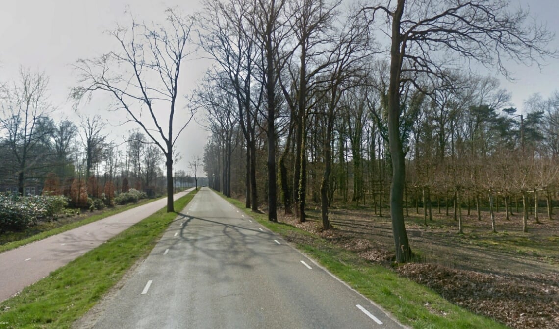 <p>Twaalf beuken langs de Oirschotseweg worden volgende week gekapt. De gemeente meldt dat ze ziek zijn en daardoor een gevaar voor het verkeer vormen.</p>