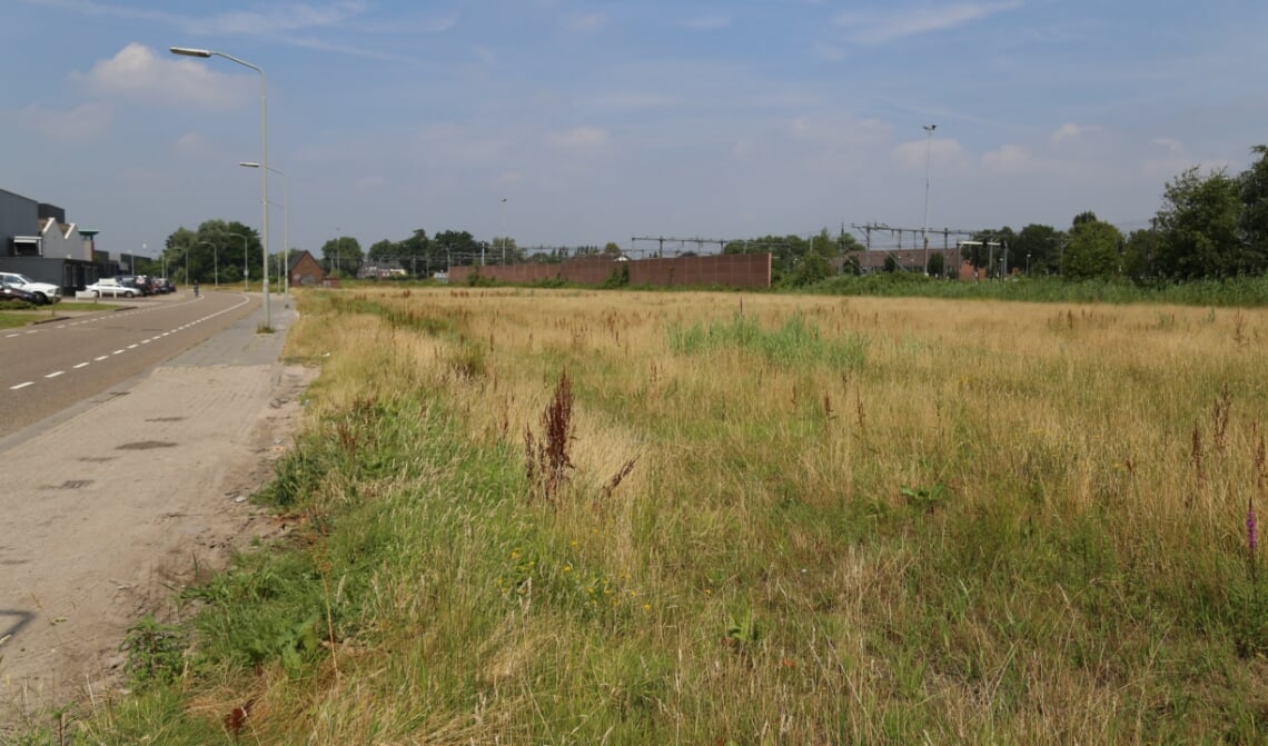 <p>Het terrein waar voorheen Houthandel Langenhuizen gevestigd was is onlangs verkocht aan twee Boxtelse ondernemers. (Foto: Sander van Kasteren)</p>