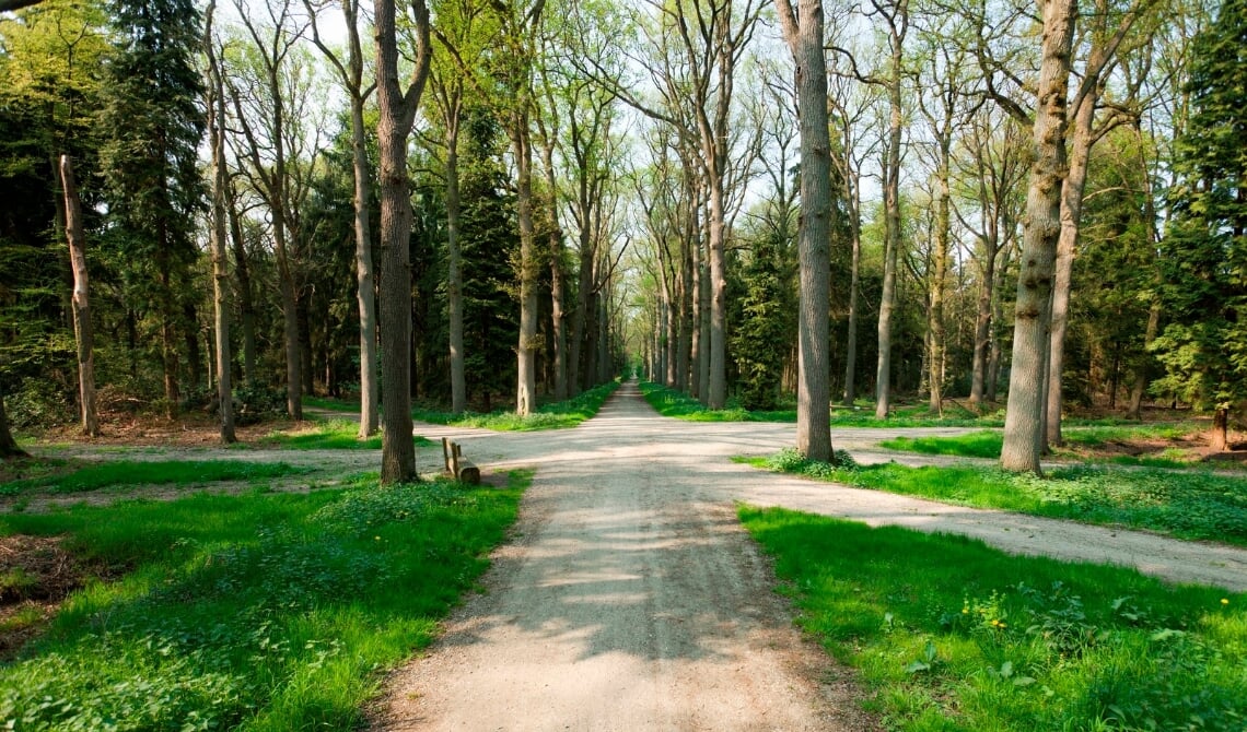 De Negen Dreven op Landgoed Velder.