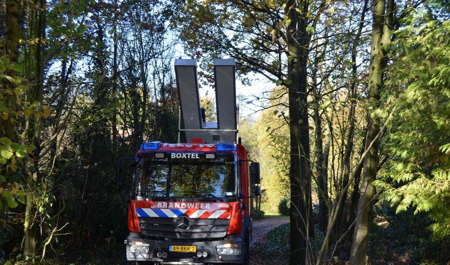 Afbeelding