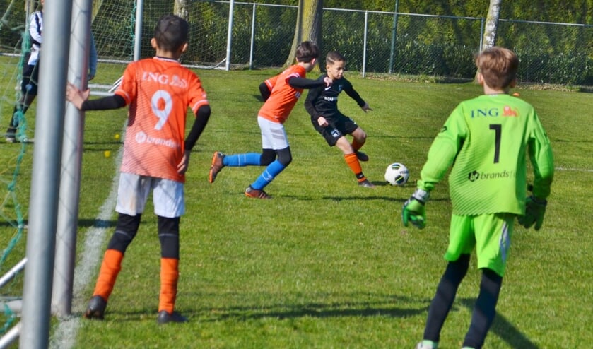 Afbeelding