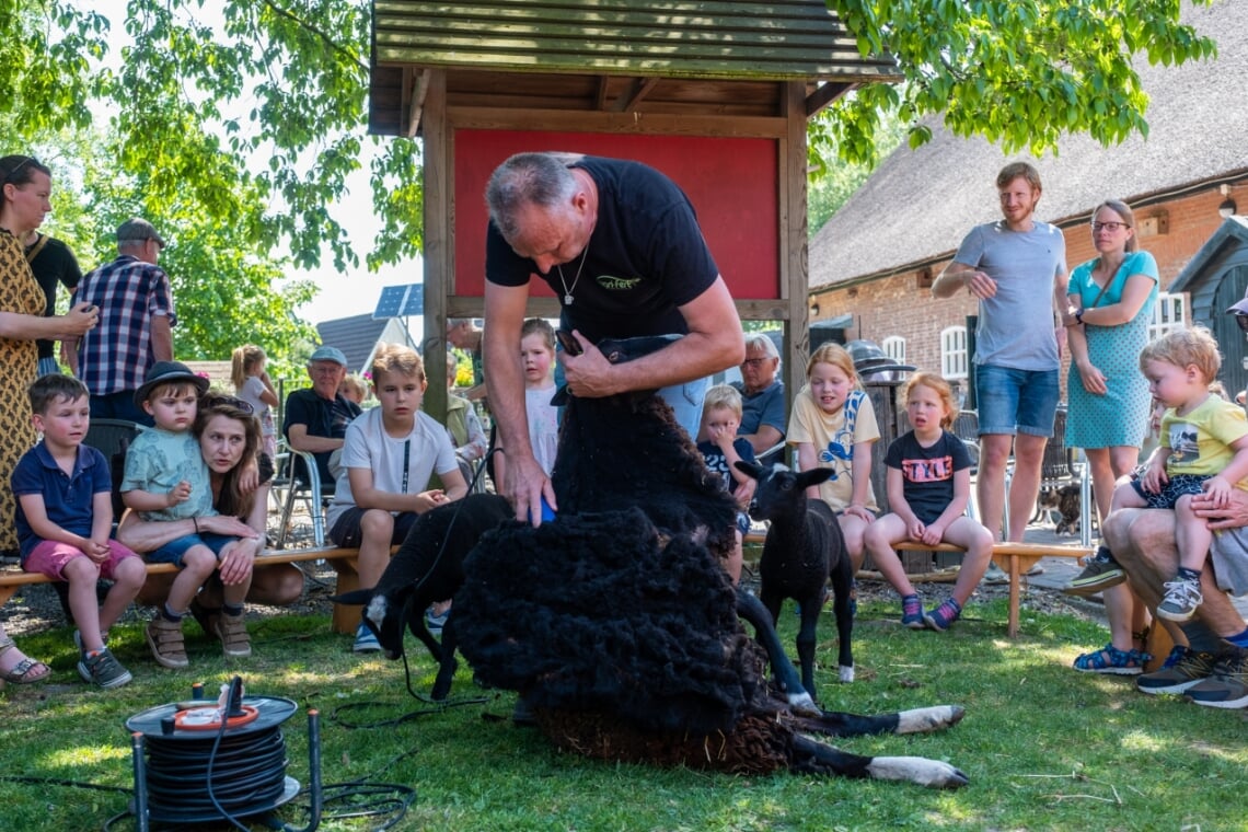 Foto: Josine Claasen