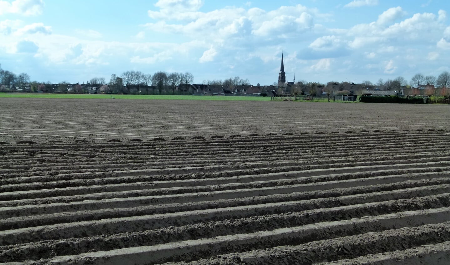 Grootschalige aardappelteelt op de Hezelaarse Akkers.