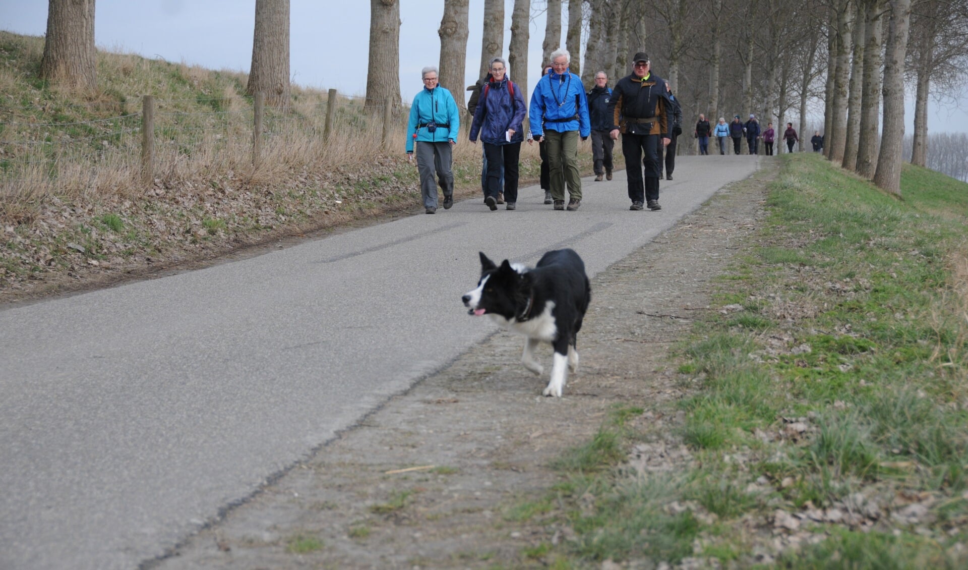 Sommige wandelaars nemen ook hun hond mee op de wandeltocht.