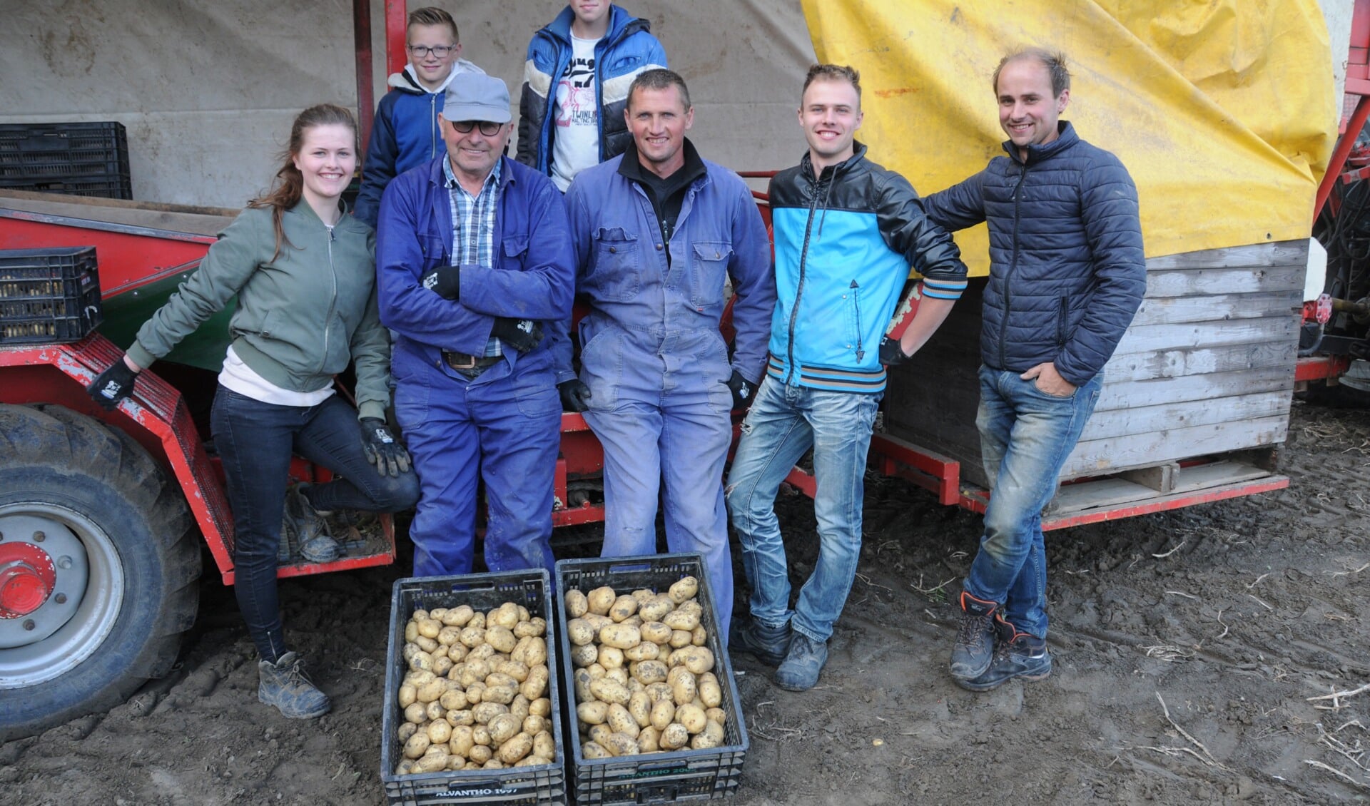 Allemaal Lindhoutjes. Het rooien van de nieuwe aardappelen aan de Krokkeweg in Poortvliet is een familiegebeuren. De kinderen en kleinkinderen van
Bram Lindhout (petje) zijn dinsdagavond paraat, v.l.n.r. Rosanne, Robin, Gerben, Brian, William en Marcel.