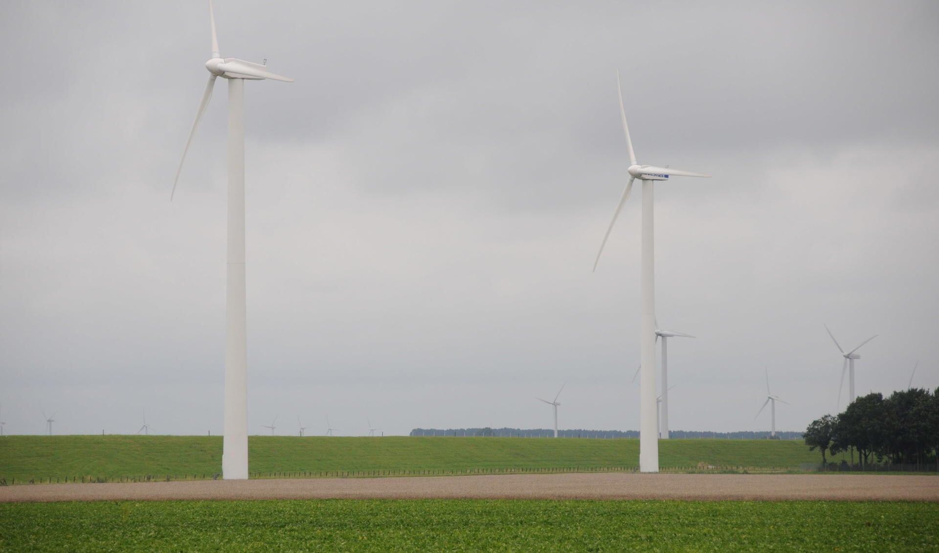 In 2020 moeten vier flink hogere windturbines in de Karolinapolder hun bijdrage leveren aan de Steenbergse klimaatdoelen.