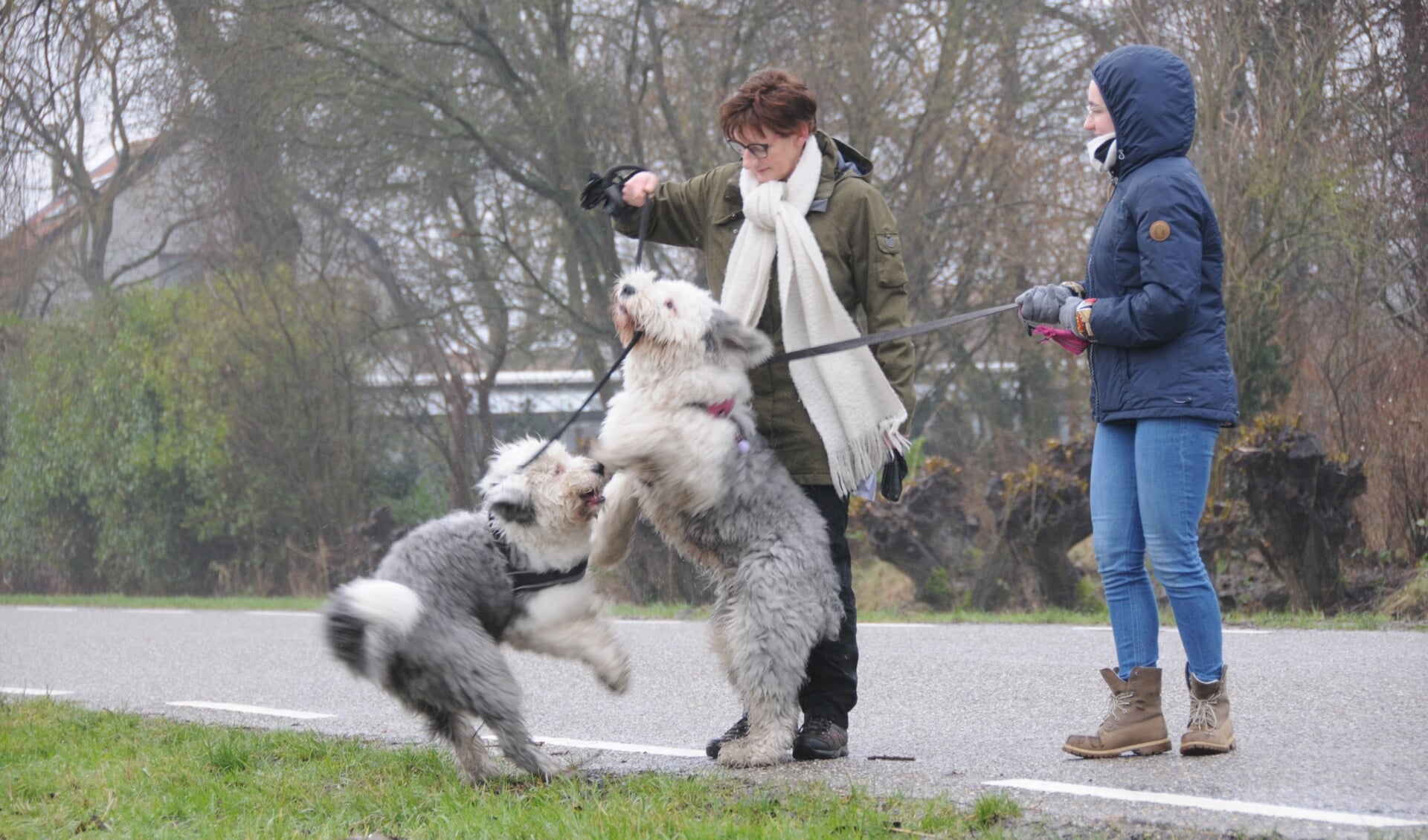 Wandelaars uit Roosendaal op de Hikseweg.