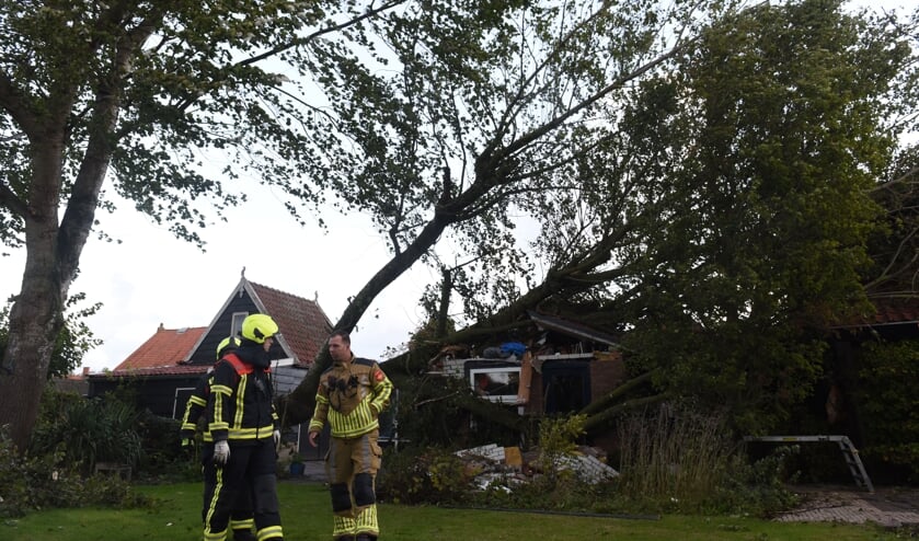 <p>De omgewaaide boom in de Weststraat in Sint-Annaland. </p>