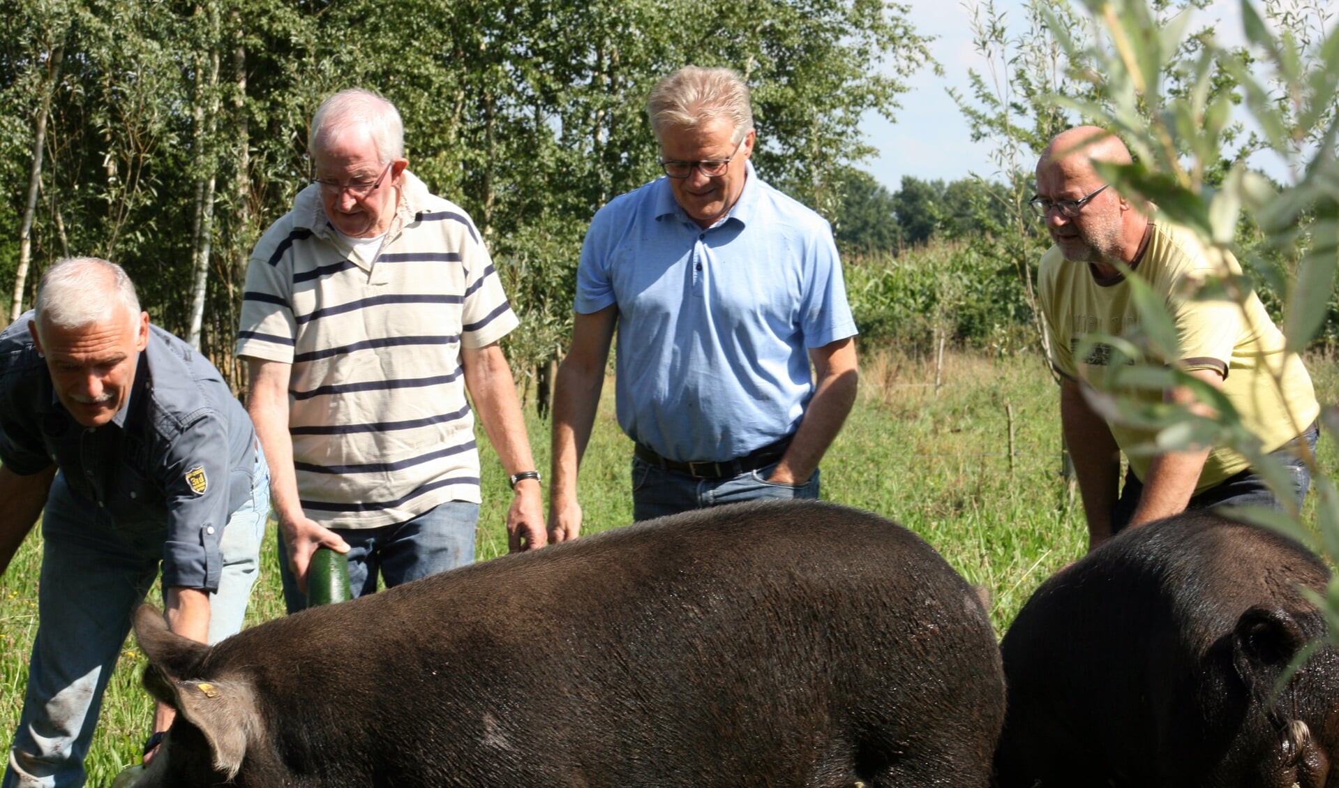 De vier varkensfokkers. V.l.n.r. Frank Bax, Marijn van den Akker, Wim van Meijl en Carlo Klerkx.