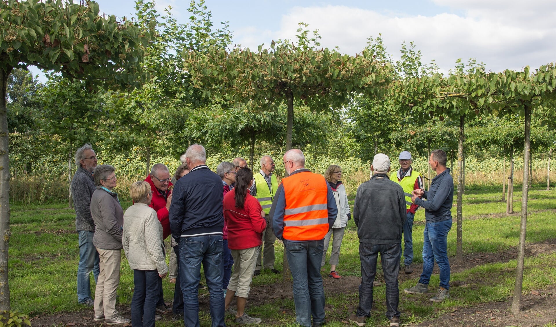 Veel belangstelling voor de uitleg bij Vormbomenkwekerij Ruud van den Berk  foto: Henri van Weert