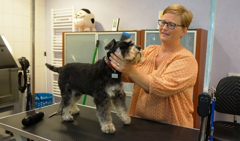 De salon van Leonie Bekkers is gloednieuw. | Fotonummer: 453652