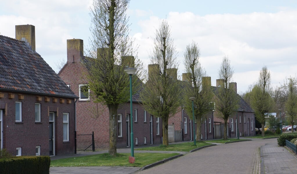 Deze woningen aan de Mater Lemmensstraat maken allemaal plaats voor de appartementen.