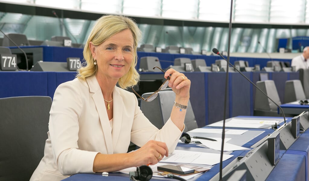 Europarlementariër Annie Schreijer
