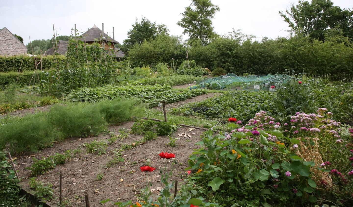 De groenten-, fruit- en kruidentuin van de Schaapskooi