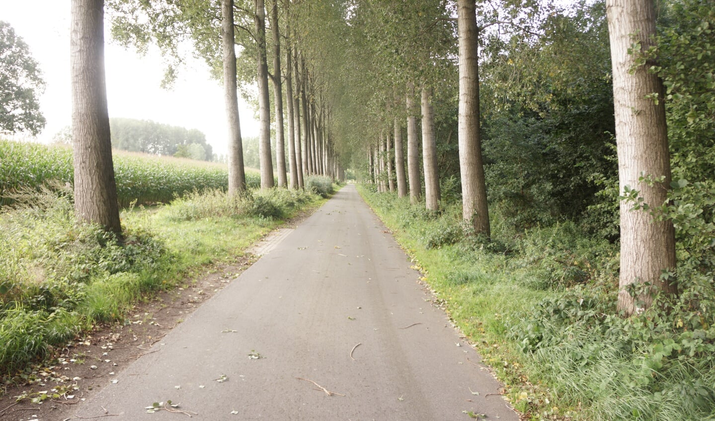De Schoorse Hoefstraat