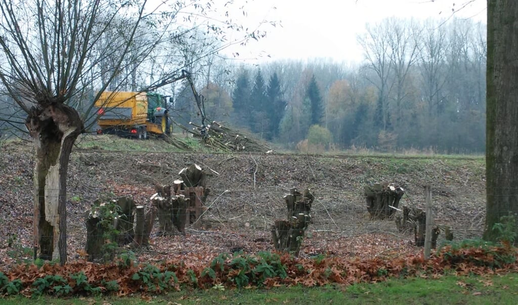 Het is een flinke maar mooie klus.