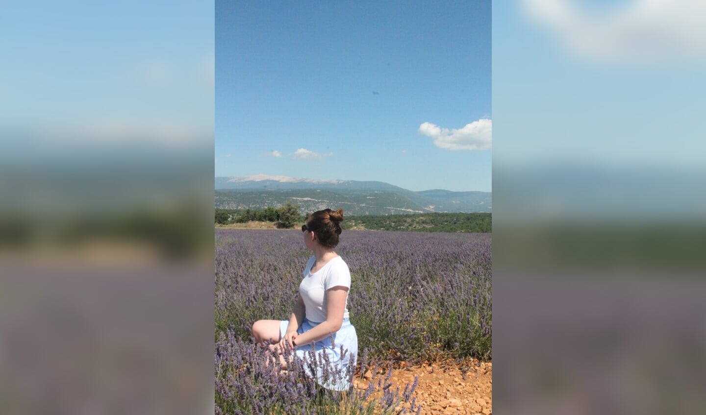Tussen de lavendel met uitzicht op de Mont Ventoux 