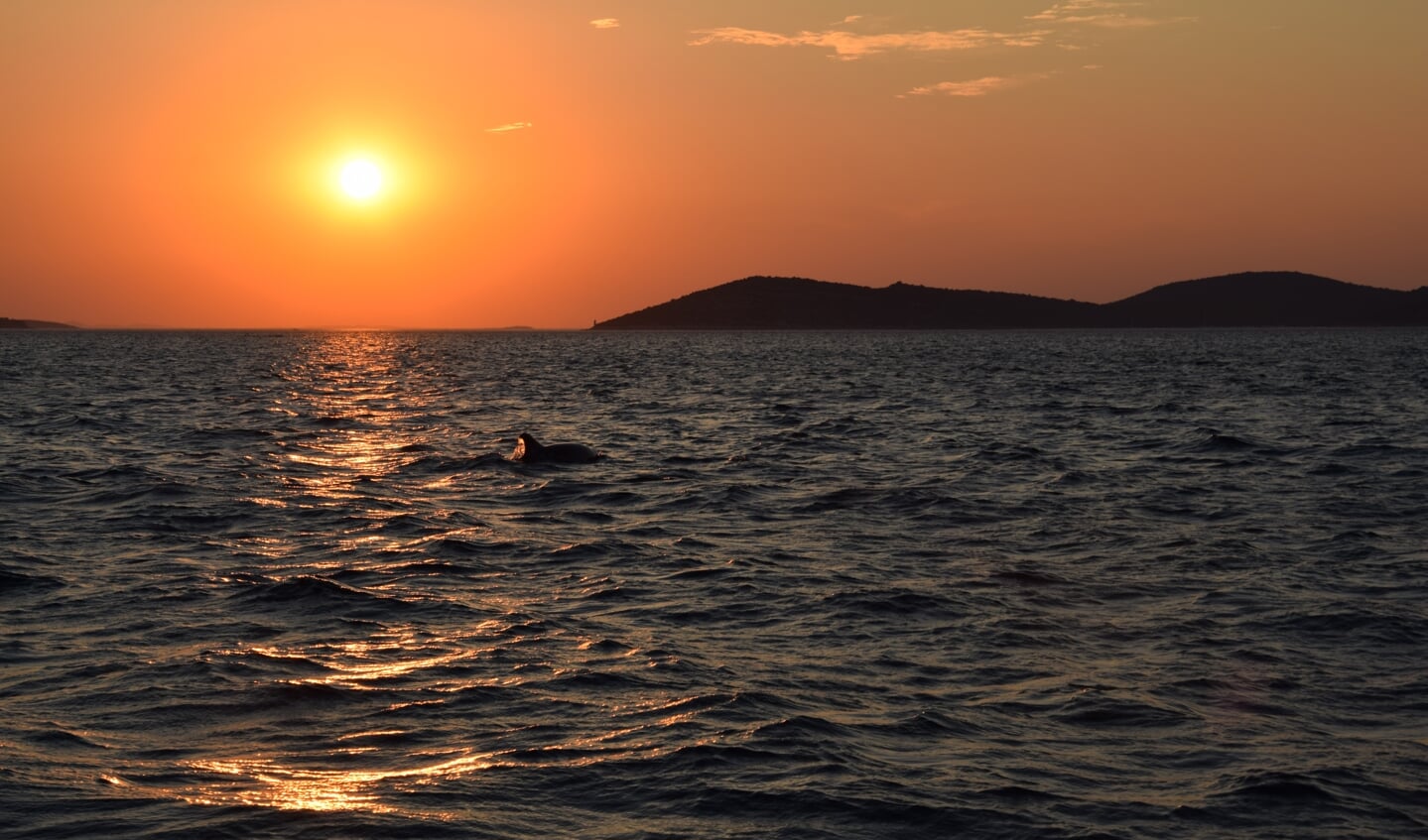 Zonsondergang met dolfijn, Kroatië. Foto; Henri van Hoorn