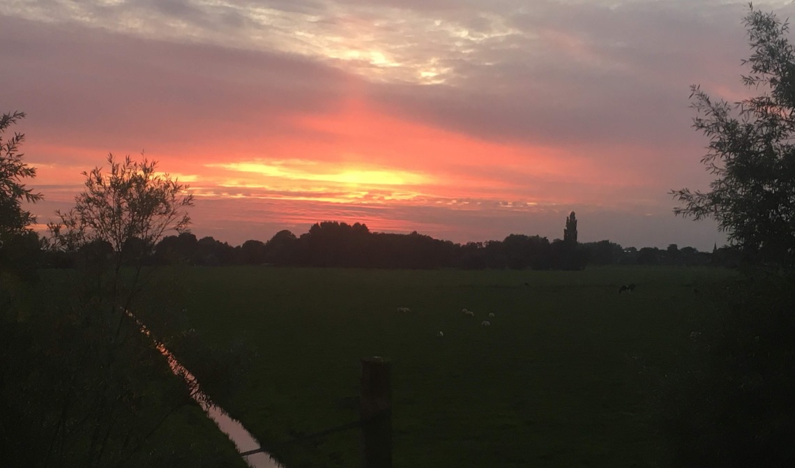 Een mooi herfstplaatje
