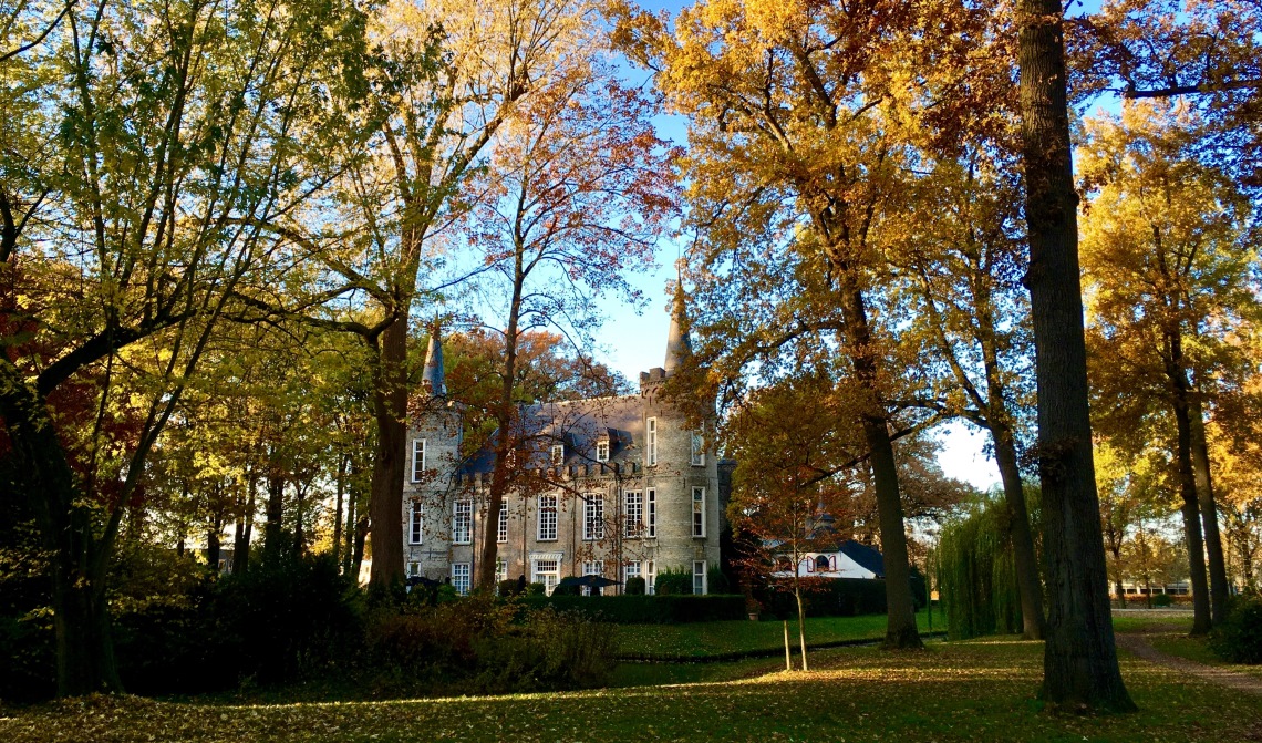 Een mooi kiekje van het park van 'ons' kasteel.