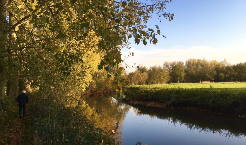 De Dommel in de herfst, | Fotonummer: 45a59f