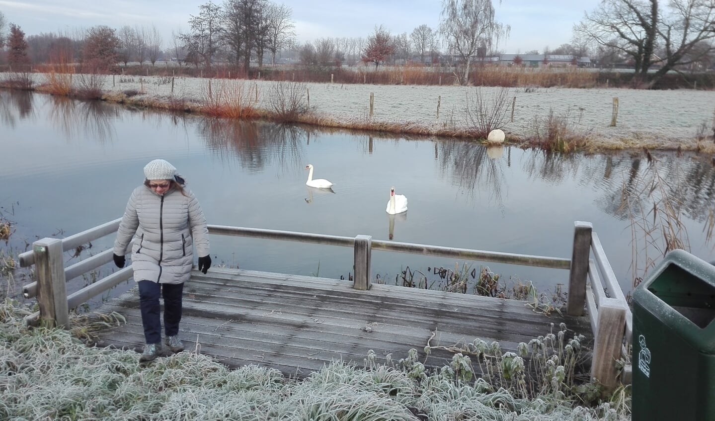 Het bekende steigertje aan de Bobbenagelseweg.