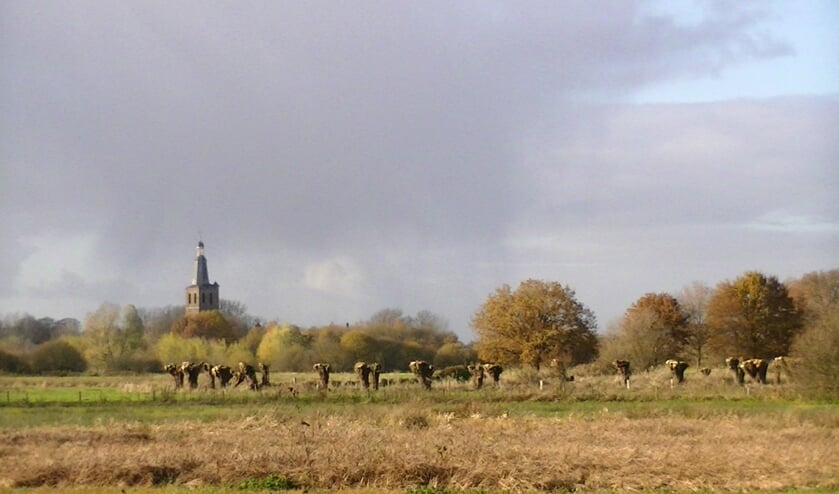 Afbeelding