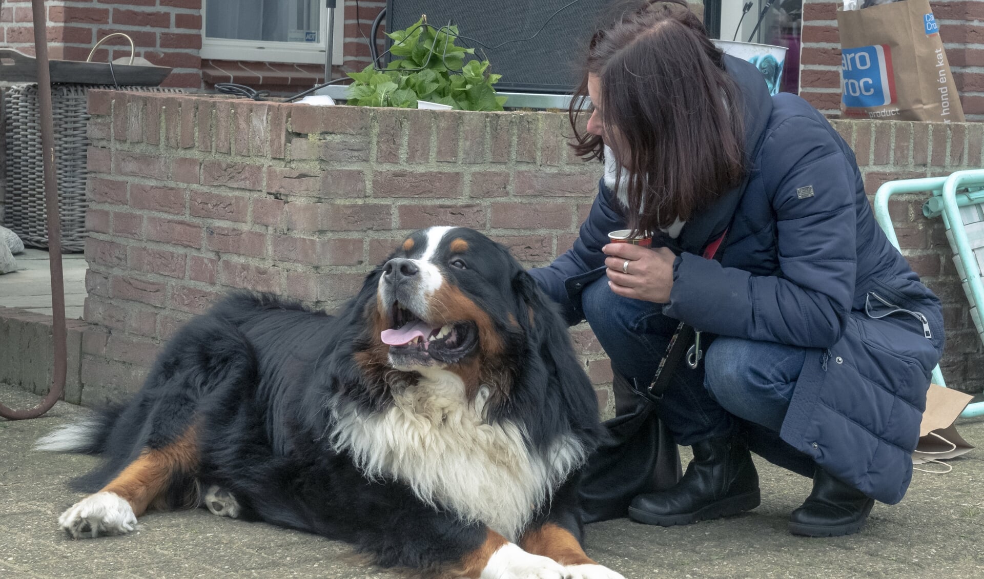 De honden stonden in het middelpunt dit weekend.