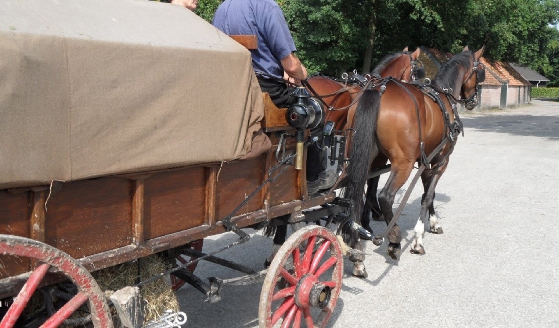 Een oude boerenwagen getrokken door 2 paarden