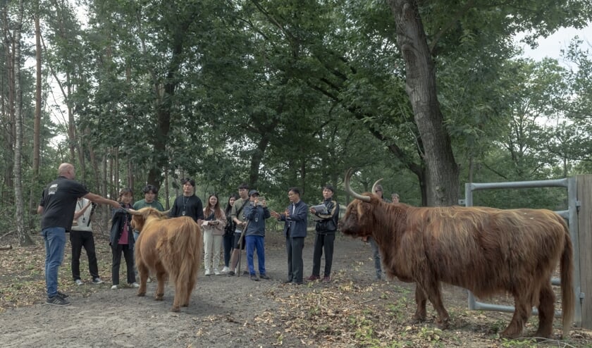 De Koreanen komen heel dicht bij de dieren. | Fotonummer: dde264