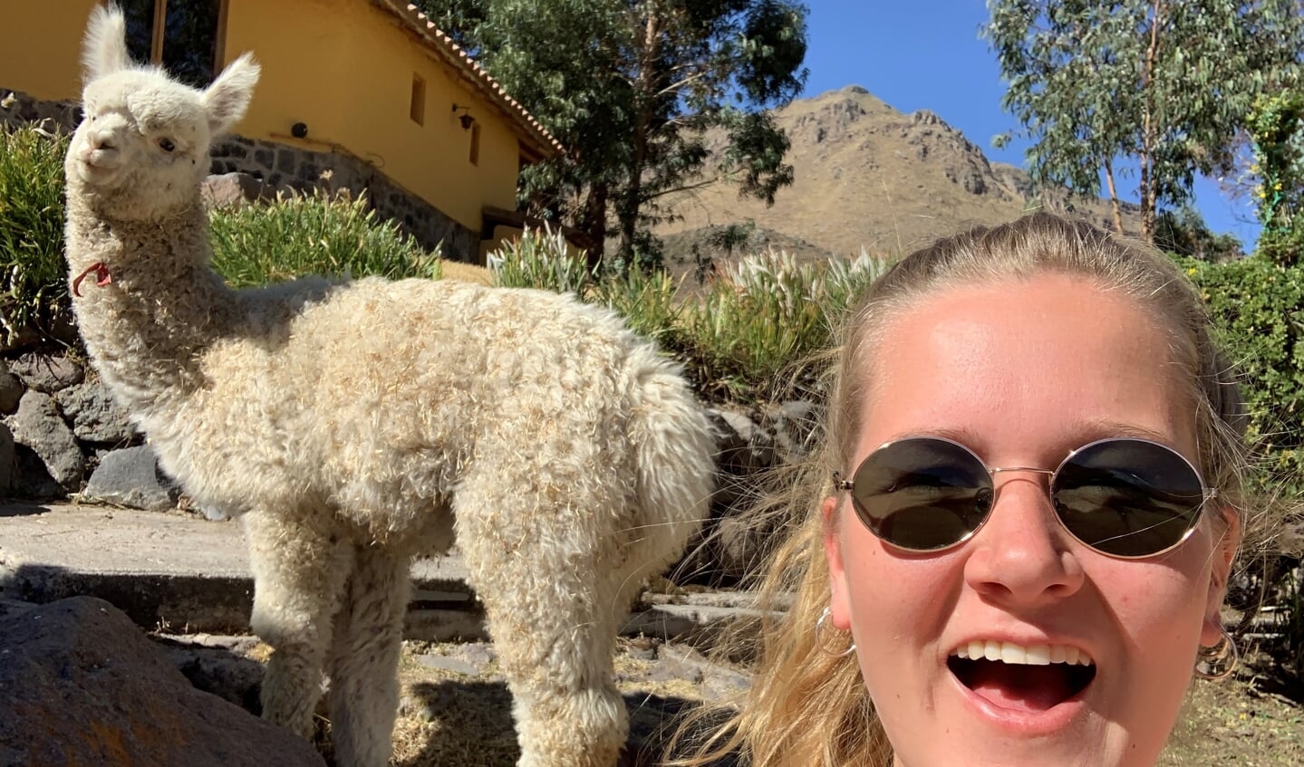Met een Alpaca op de foto in Peru. Lisanne Mathot.