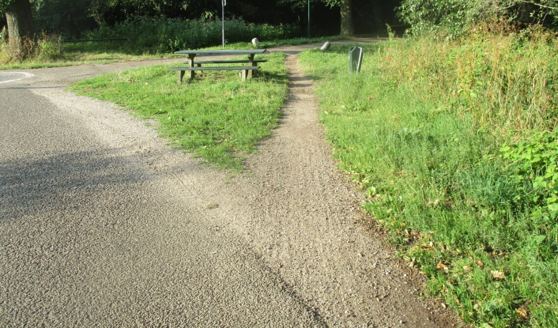 Een olifantenpaadje aan de Sloef,