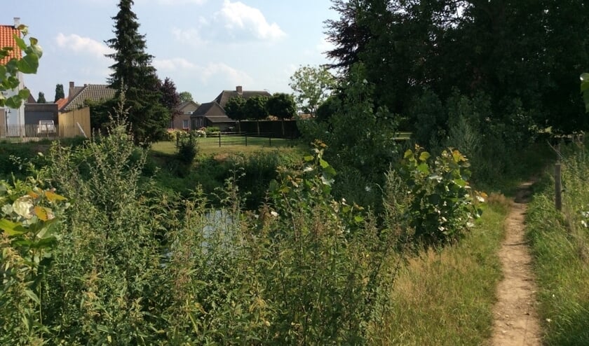 Toen Pete achter de heg, rechts op de foto, bij de Dommel tevoorschijn kwam, werd hij in zijn hoofd geschoten. | Fotonummer: 300637