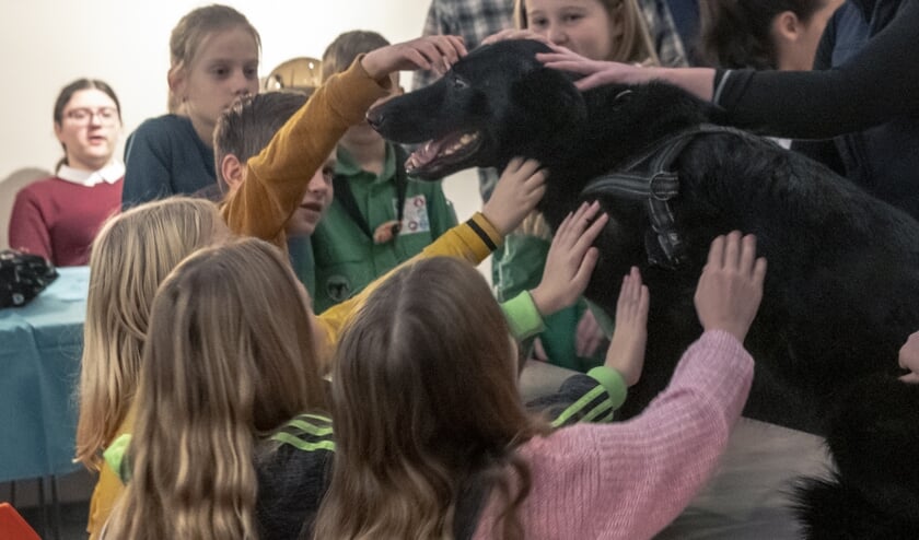 Deze hond vindt het wel best. | Fotonummer: 5499b5