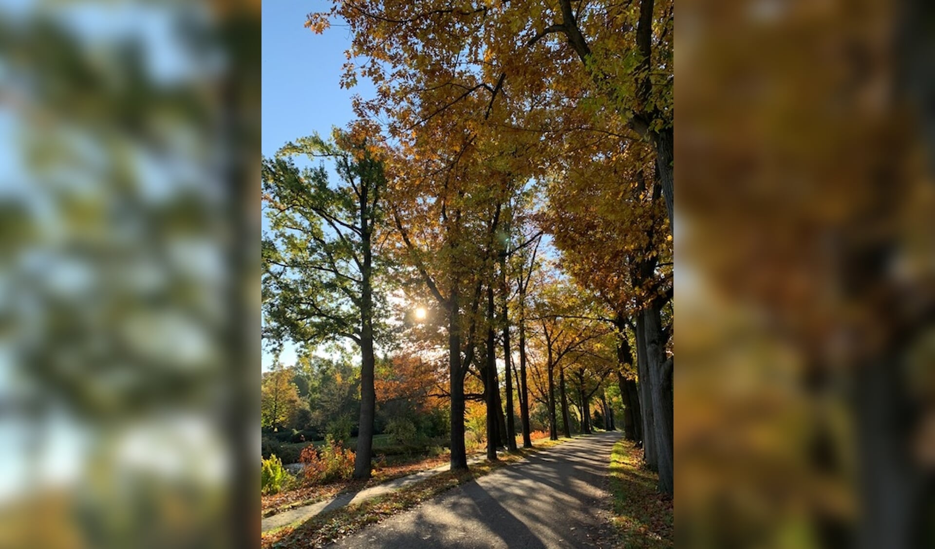 De Zwembadweg in herfstkleuren.