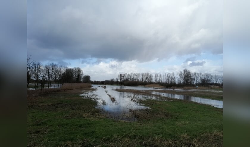 Het water heeft er wel ooit hoger gestaan, maar ook nu is het er kletsnat. | Fotonummer: 287063