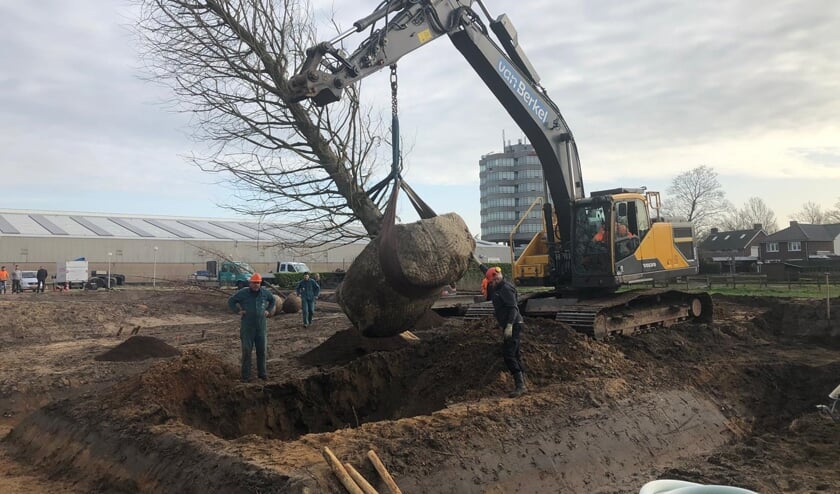 De grootste boom wordt op zijn plek gezet. | Fotonummer: e6a7d1