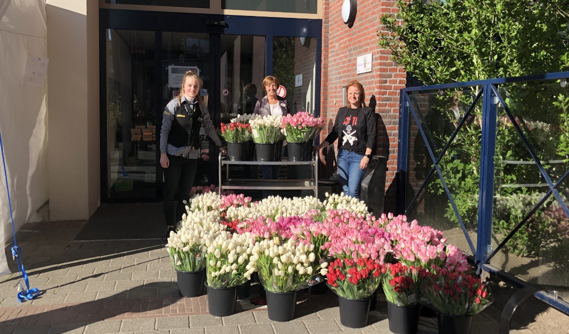 Dat zijn heel veel tulpen!