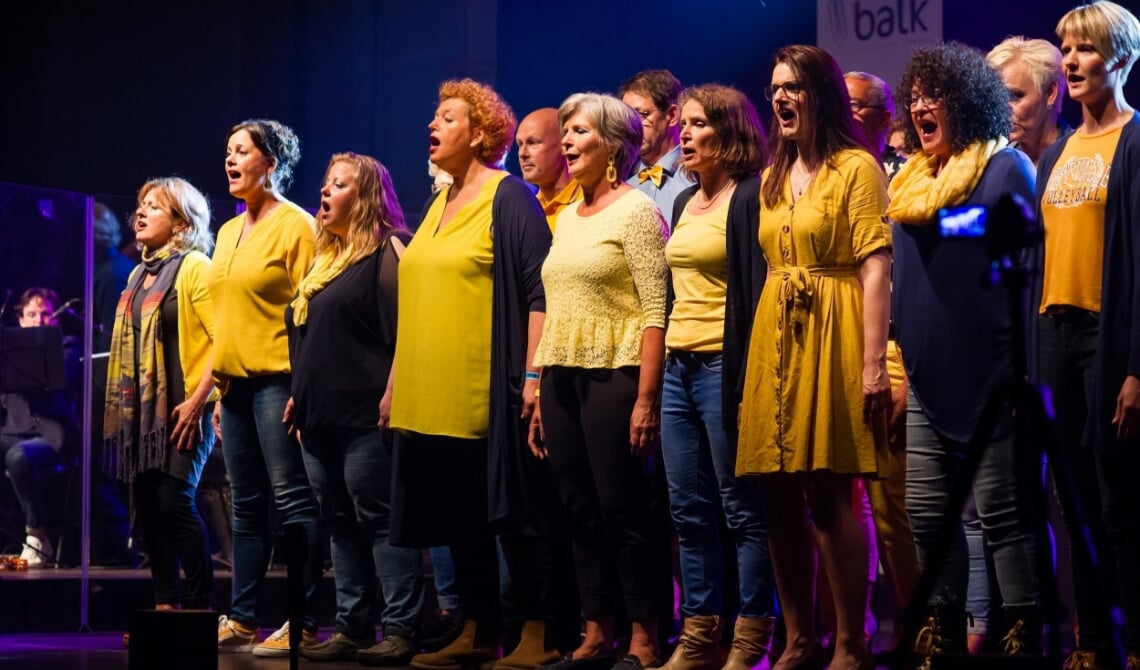 Popkoor Novelty tijdens ‘De Fendert zingt’ in juni 2019, waar zij een prijs voor beste podiumpresentatie en een eervolle vermelding voor de uitvoering van het nummer My Immortal van Evanescence ontvingen.